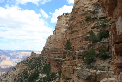 Grand Canyon 2008
